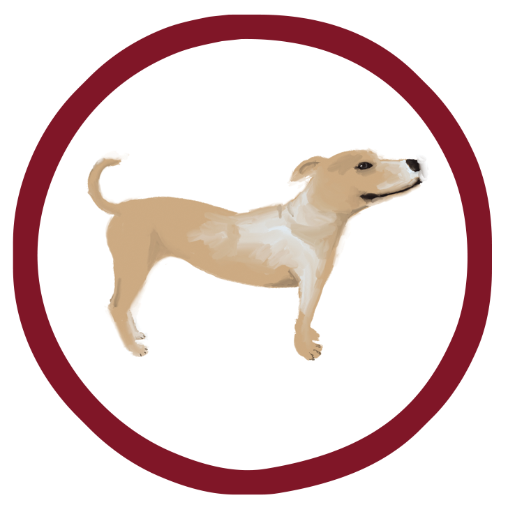 Calorie Calulator For Dogs Photo Inspiration